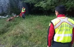 Novantaduenne dispersa