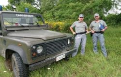 Raccoglie tartufi, attrezzatura vietata, 5.000 euro di multa, 50enne