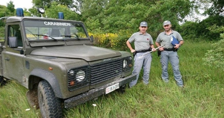 Raccoglie tartufi, attrezzatura vietata, 5.000 euro di multa, 50enne