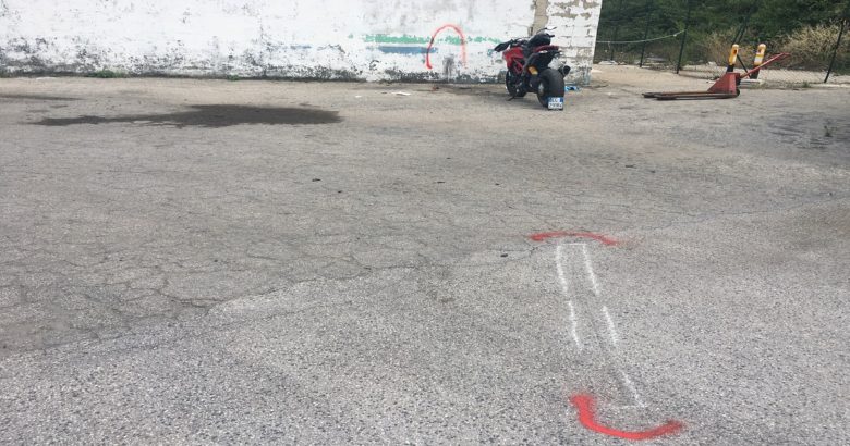 centauro muretto campomarino