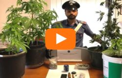 news del molise 13 giugno 2018