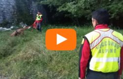 news del molise 19 giugno 2018