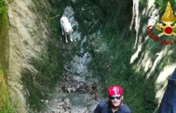 recupero cane Castellone di Bojano