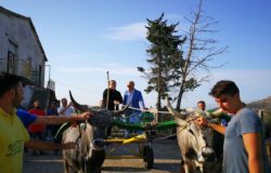 SAN MARTINO IN PENSILIS - Tavola rotonda sulle Carresi