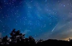 notte bianca della biodiversità