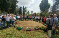 ISERNIA CREA LA TUA AIUOLA