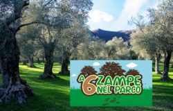 a 6 zampe nel parco Venafro