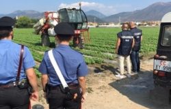 carabinieri azienda agricola