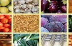 internalizzazione agroalimentare molise