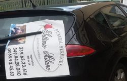 auto vandalizzate