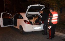 sissy cane antidroga