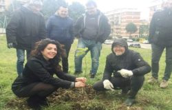 ALBERI ER IL FUTURO ISERNIA testamento