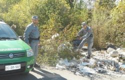 abbandono rifiuti forestali