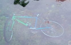 bicicletta nel laghetto Venafro