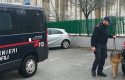 ISERNIA, Controlli straordinari, Carabinieri, unità cinofila antidroga, scuole