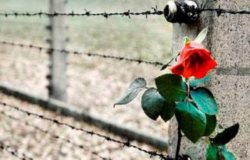 giorno della memoria