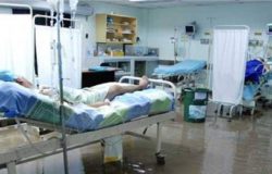 PRO VENEZUELLA - I molisani e gli italiani hanno bisogno di tutto. Sollecitazioni dal Molise