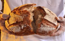 panificazione artigianale