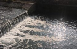 schiuma torrente rava