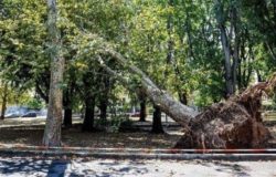 villa comunale isernia chiusa