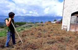 RAI TRE - Geo, il Molise protagonista