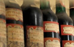 VENAFRO cantina Santa Sofia vino Il Centrale