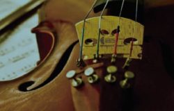 EVENTO - Teatro Savoia, concerto dell'Orchestra Sinfonica del Conservatorio di Musica Lorenzo Perosi