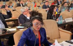 Futuro dell'Unione Europea, Occhionero (LeU)