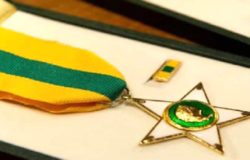 stella-la-merito-del-lavoro