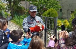 EVENTO - Giornata delle Oasi Wwf, iniziative anche a Guardiaregia