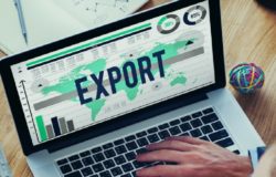 tecniche per l'export
