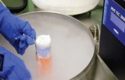 “Le Biobanche ai tempi dei Big Data”, all’I.R.C.C.S. Neuromed l’incontro delle banche biologiche