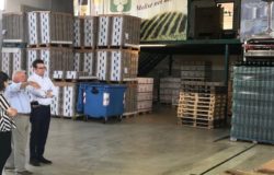 CAMPOBASSO - Hanno più di cinquanta anni di storia le cantine cooperative molisane. Cantina Cliternia e Cantina Valtappino, che nella loro diversità che fotografa con impareggiabile efficacia la diversità del territorio molisano, rappresentano