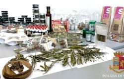 Cannabis light, controlli nei negozi della città denunciate 8 persone