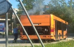 bus a fuoco campobasso