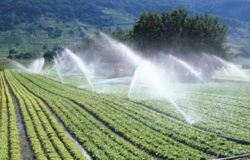 consorzi di bonifica