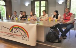 un cavallo per amico