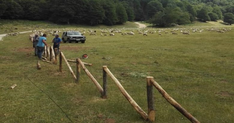 Festa del Pastore, Orizzonti del Matese mira a riportare l’evento in alto