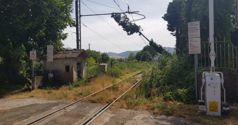 MALTEMPO - Treni Venafro-Roccaravindola, albero caduto: circolazione ferroviaria in tilt