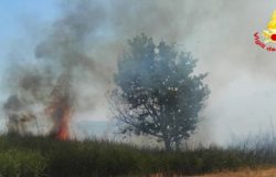 INCENDI MOLISE