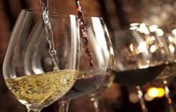 degustazioni vini