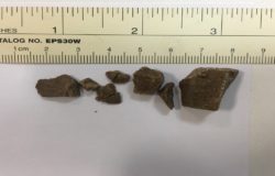 Detenzione di cocaina ed eroina, denunciata una donna e un uomo