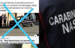 Re Calamaro Isernia
