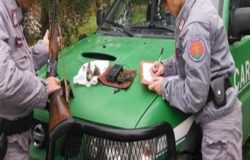 fucili da caccia incustoditi