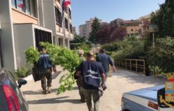 CRONACA - Oltre a produrre miele coltivava marijuana, denunciato un ventenne. Scoperto con un drone dalla Mobile