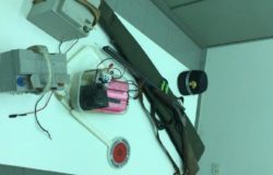 FORESTALI - Antibracconaggio, denunciati cinque bracconieri