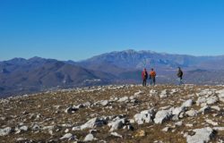 Piano di Sviluppo Locale 2014/2020 