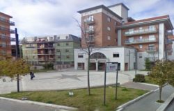 via venaziale isernia alberi