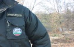 guardie ittiche volontarie