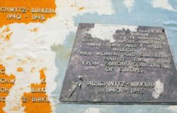 UNIMOL - La galleria di Gino Marotta ricorda il Giorno della Memoria
